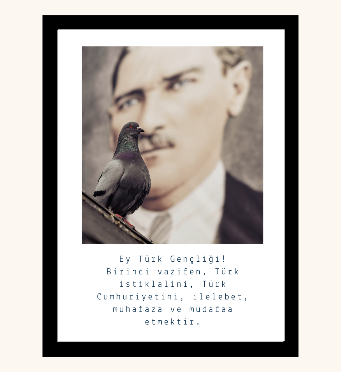 Poster - Atatürk 2