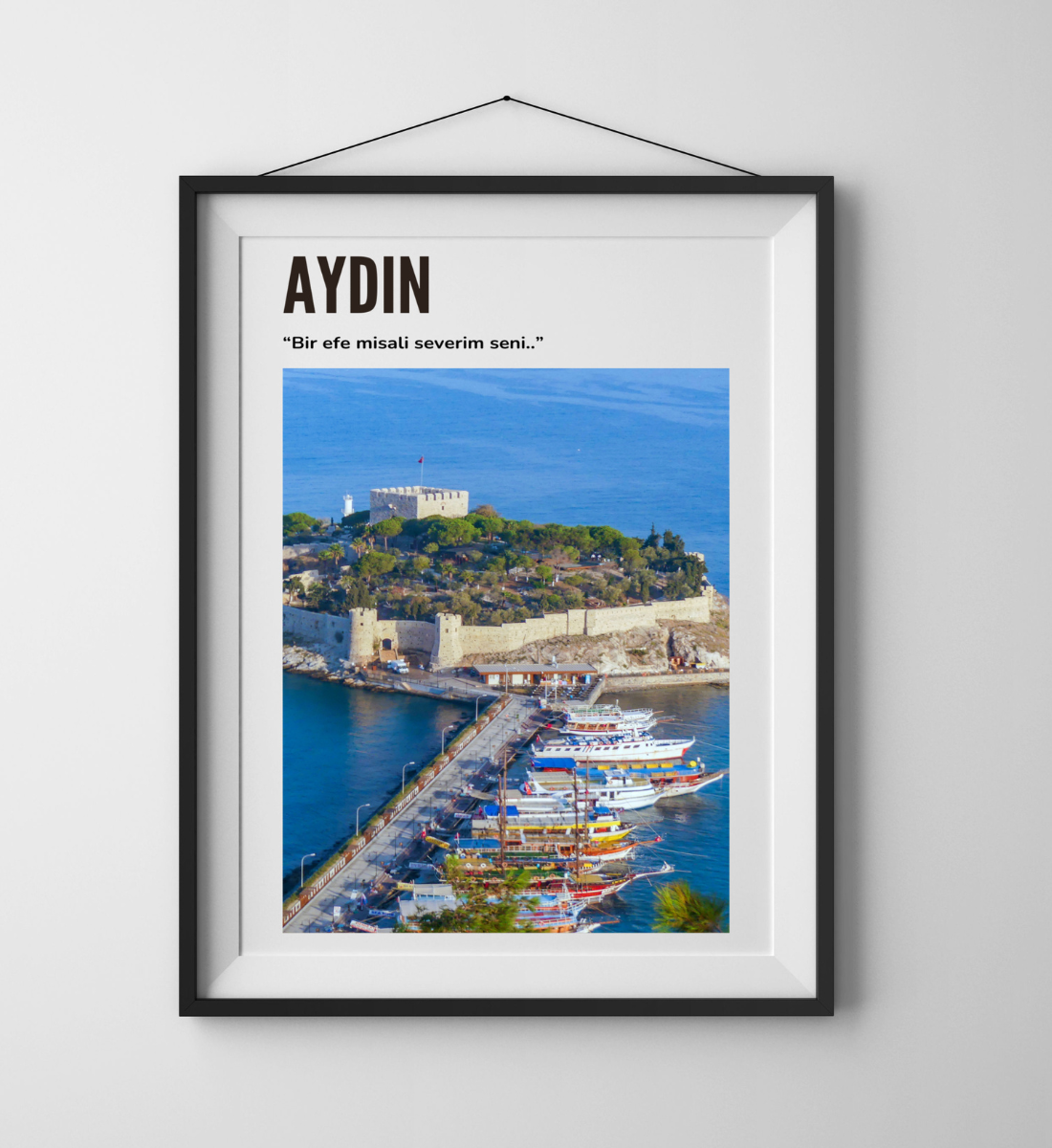 Poster - Aydin