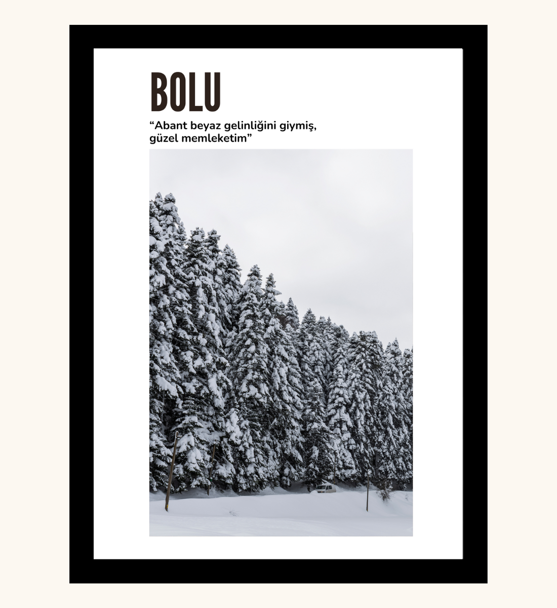 Poster - Bolu
