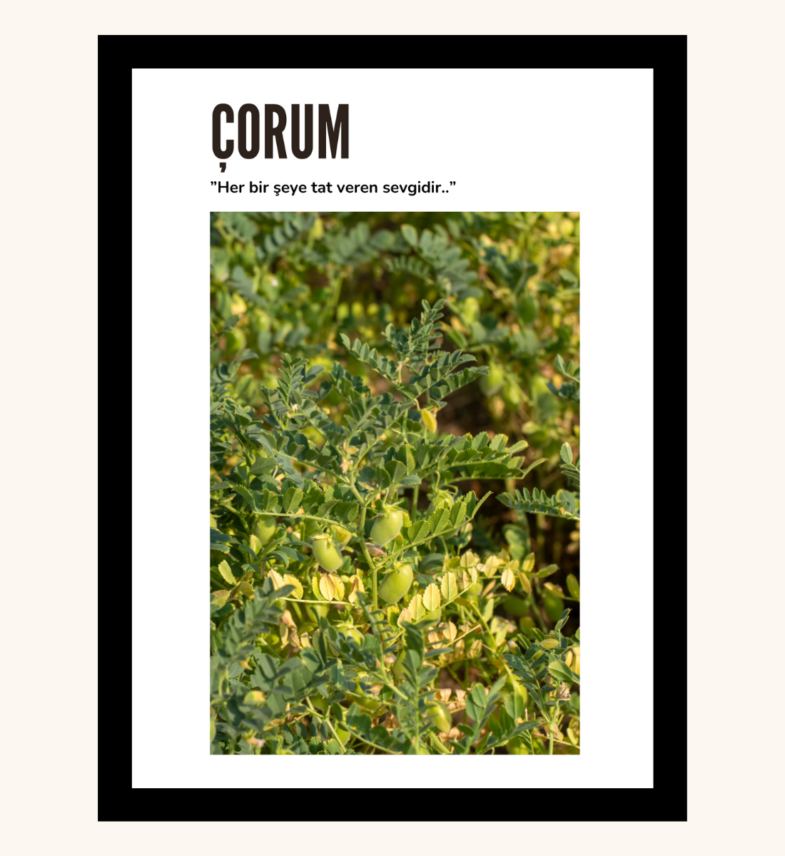 Poster - Corum leblebi