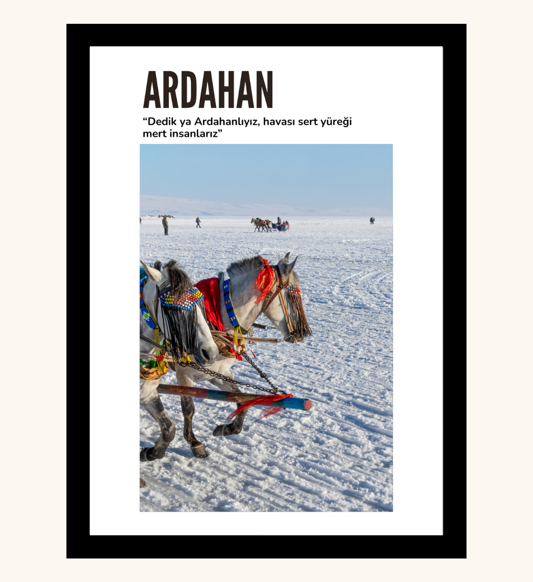 Poster - Ardahan