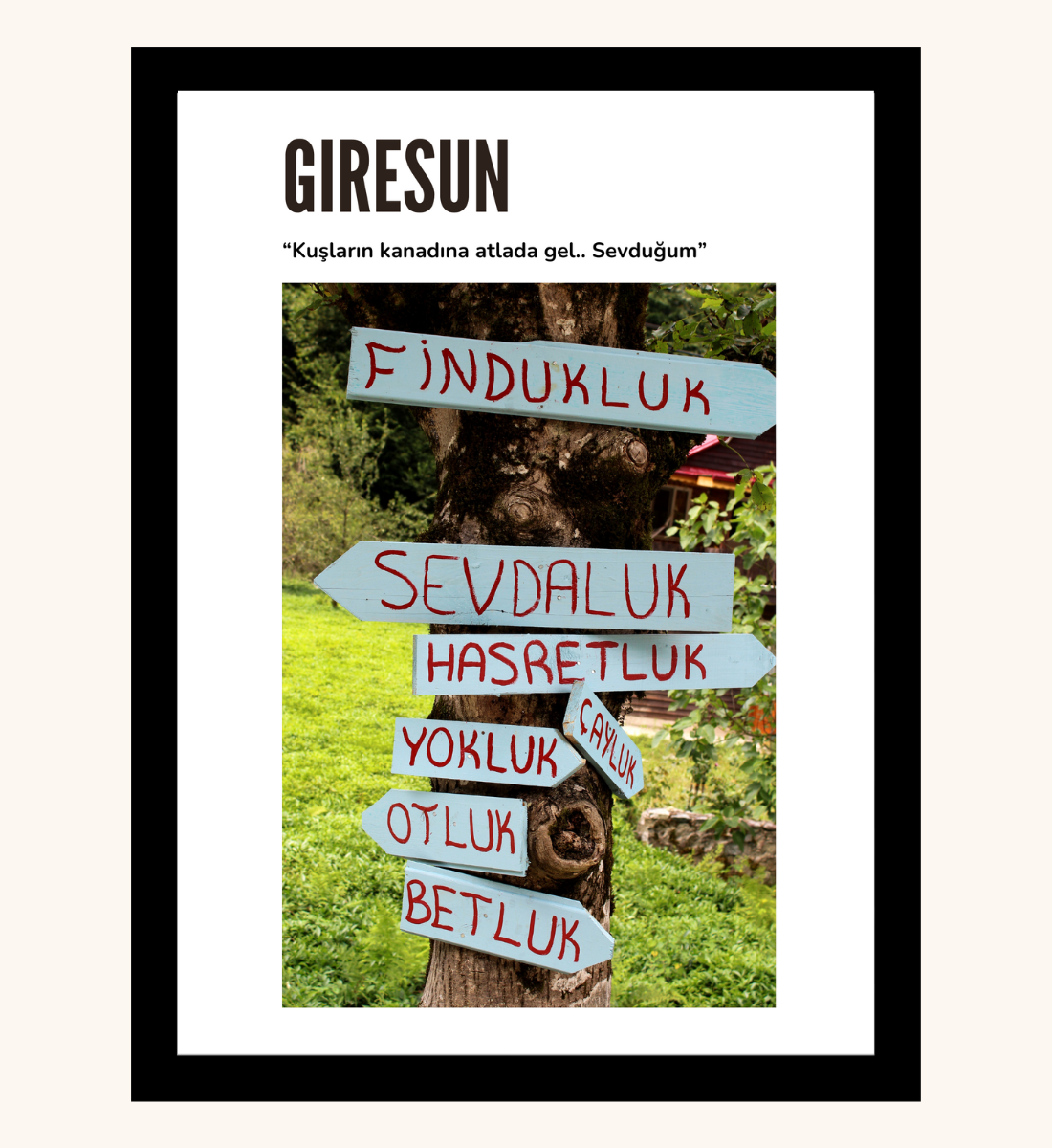 Poster - Giresun Tabela