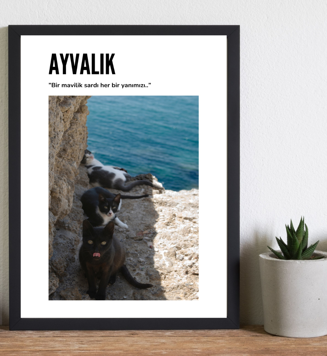 Poster - Ayvalik Kedi
