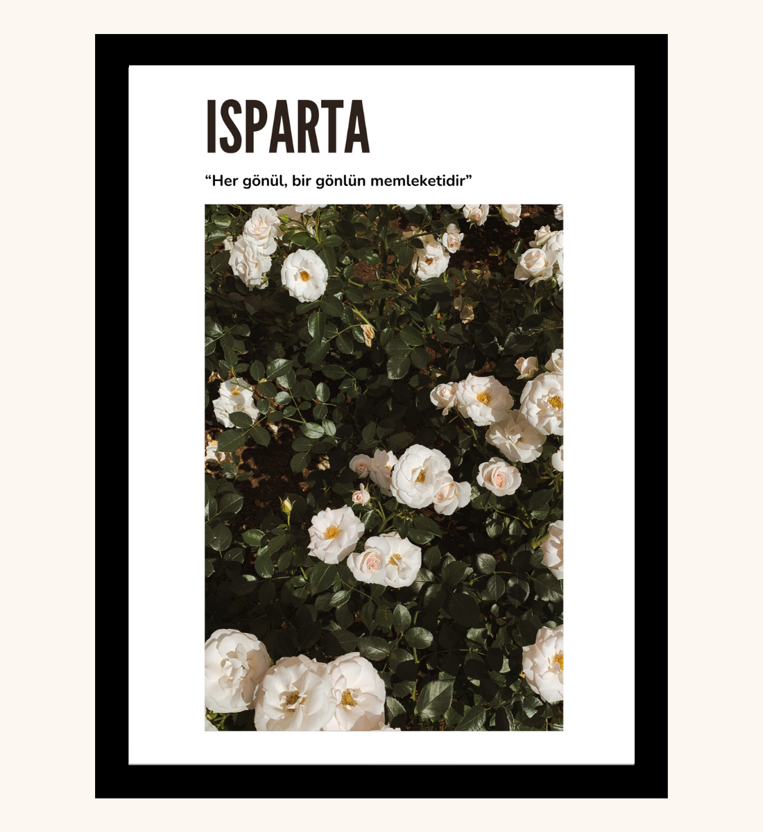 Poster - Isparta