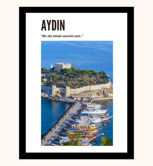 Poster - Aydin