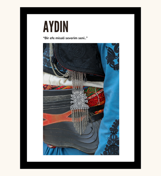 Poster - Aydin Zeybek