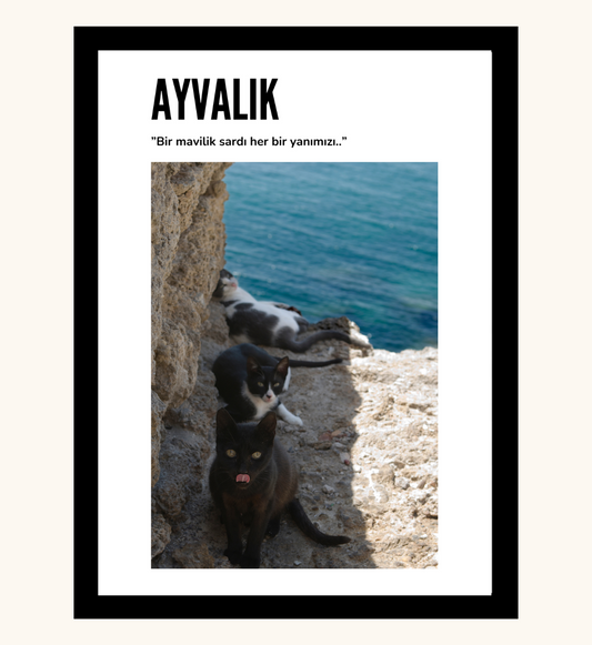 Poster - Ayvalik Kedi