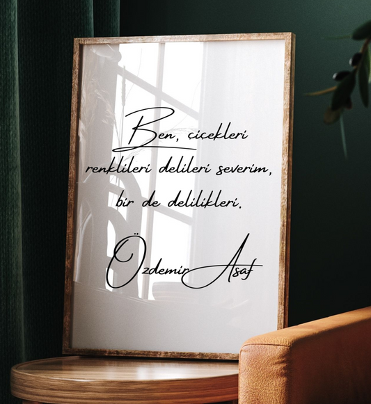 Poster - Özdemir Asaf
