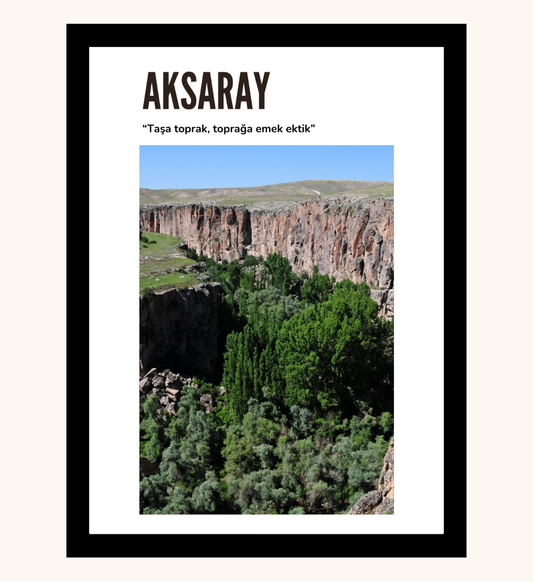 Poster - Aksaray