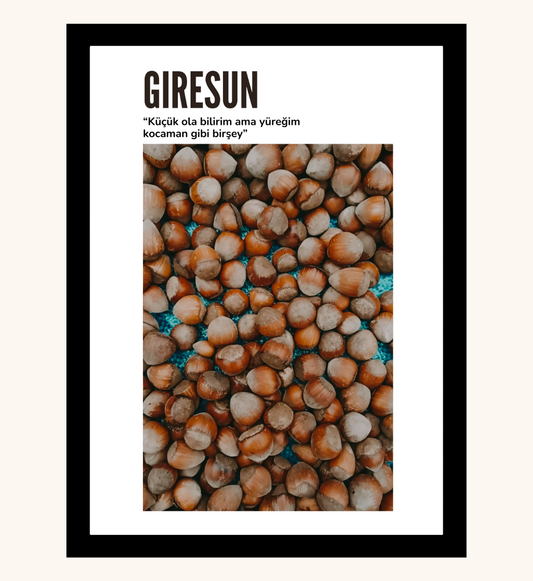 Poster - Giresun Finduk