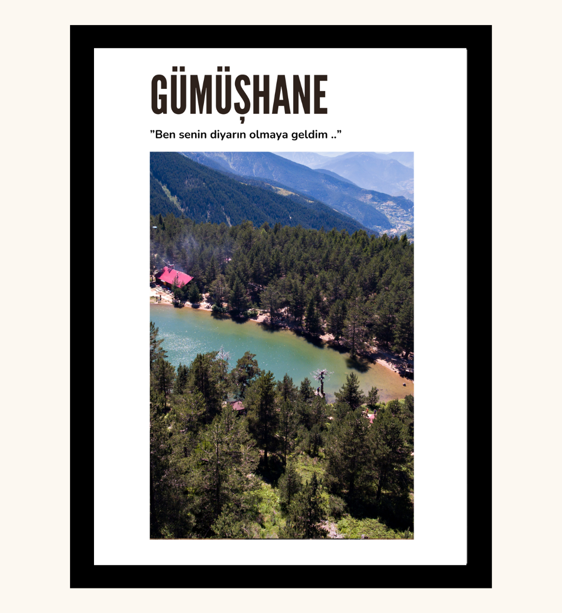 Poster - Gümüshane