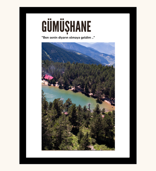 Poster - Gümüshane