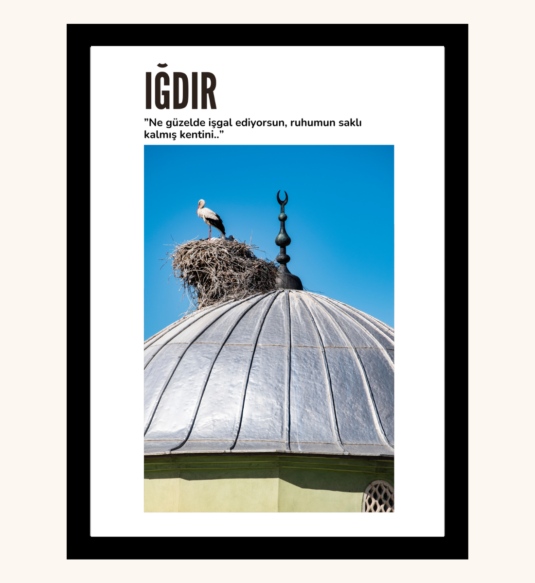 Poster - Igdir Leylek