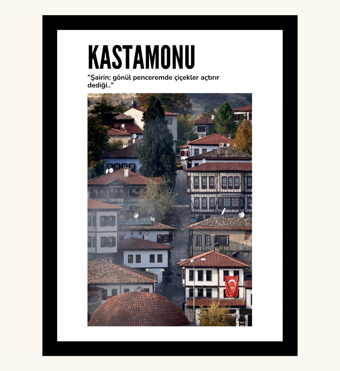 Poster - Kastamonu Konak