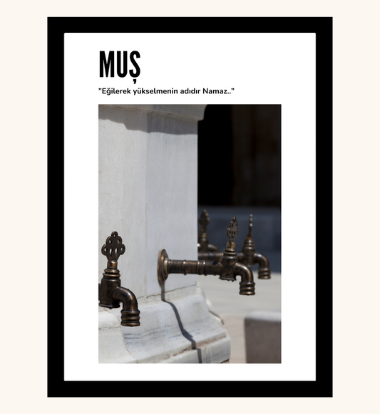 Poster - Mus Cesme