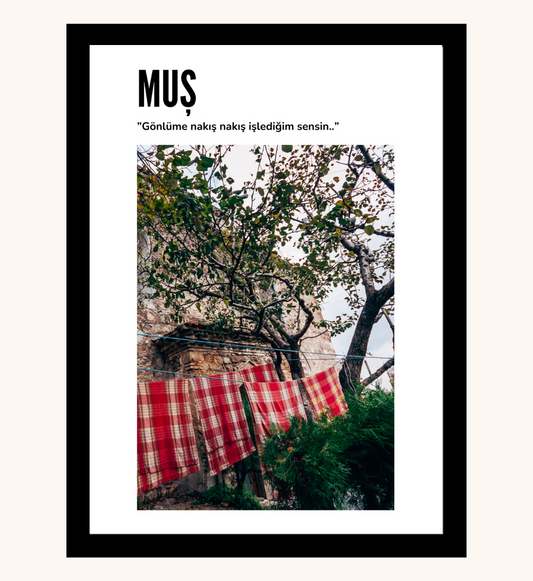 Poster - Mus