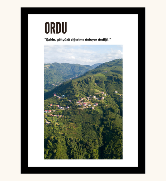 Poster - Ordu 1