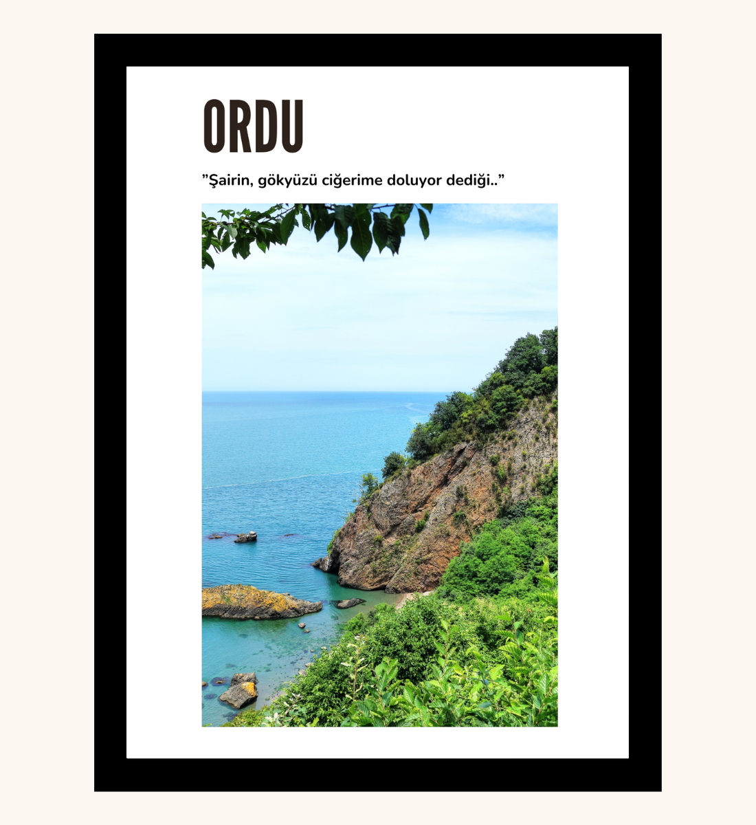 Poster - Ordu 2