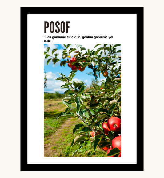 Poster - Posof