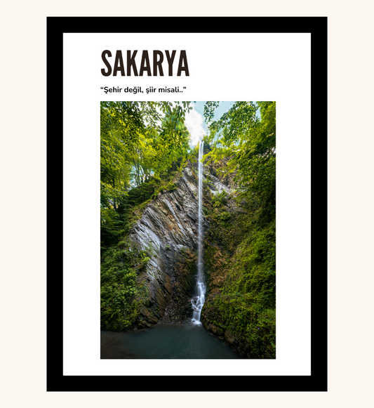 Poster - Sakarya