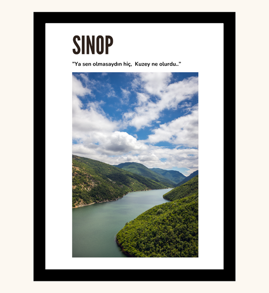 Poster - Sinop