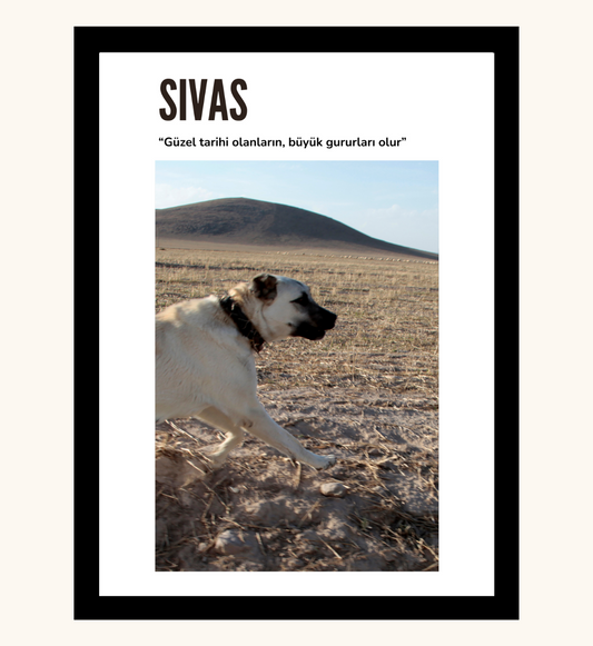 Poster - Sivas