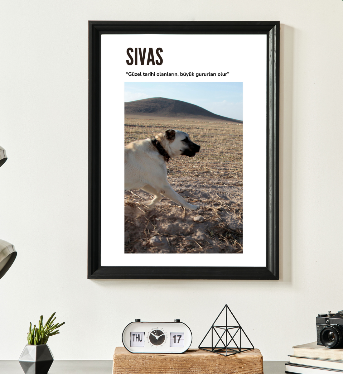 Poster - Sivas