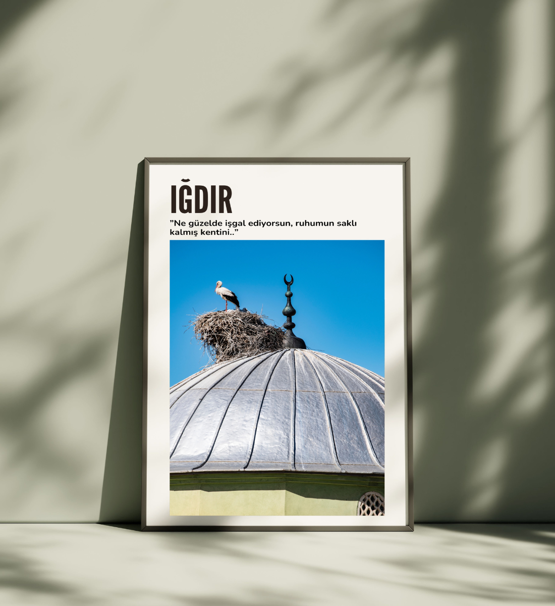 Poster - Igdir Leylek