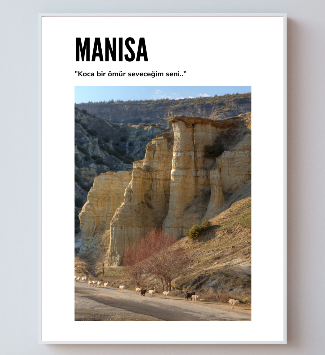 Poster - Manisa