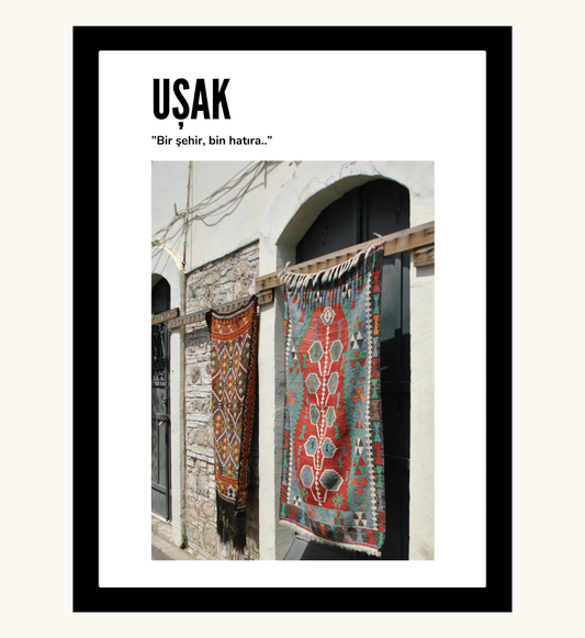 Poster - Usak 2