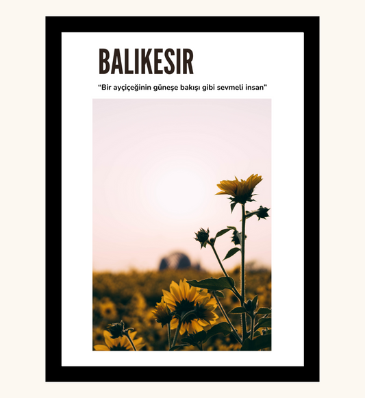Poster - Balikesir