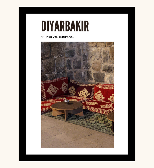 Poster - Diyarbakir