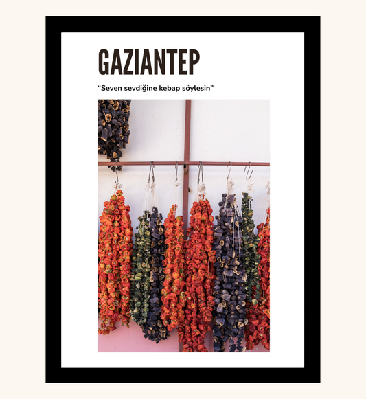 Poster - Gaziantep