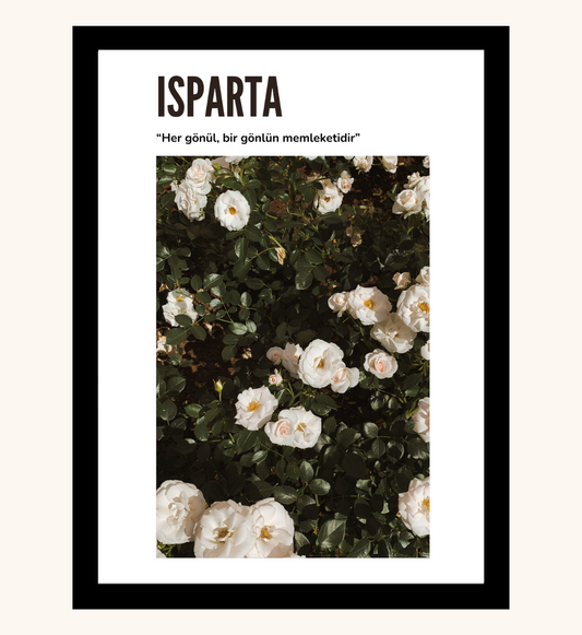 Poster - Isparta