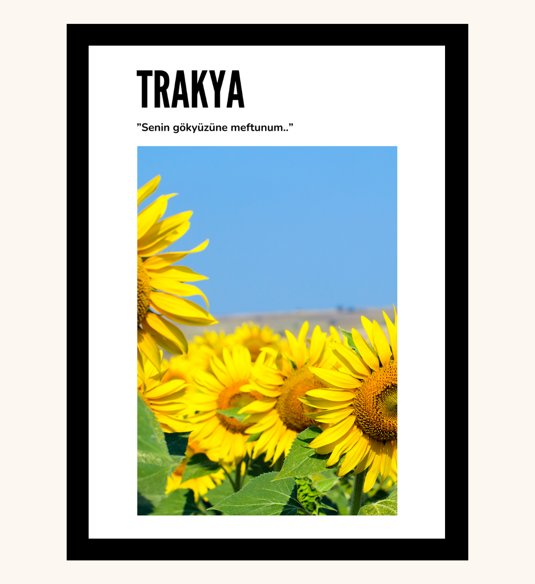 Poster - Trakya ay cicek